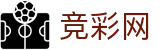 美加墨世界杯投注红单技巧与胜负预测 - 竞彩网